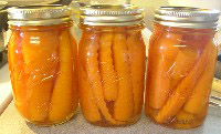 Pickled Carrots