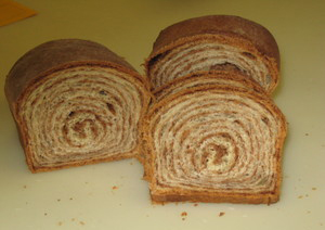 Povatica