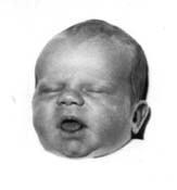 William at 2 days